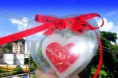 /album/%20fotos%20das%20velas%20poderosas%20do%20amor%20-cora%c3%a7%c3%a3o%20/dscf6251-3-jpg/